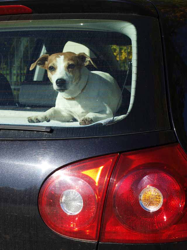 Samäganderättslagen vid bodelning mellan sambor